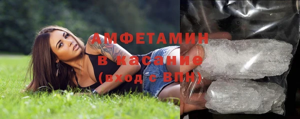 дурь Бронницы