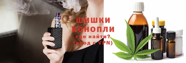 дурь Бронницы