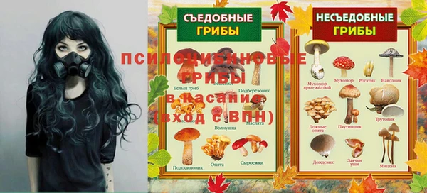 мяу мяу кристалл Бородино