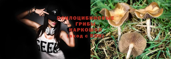 стаф Бугульма