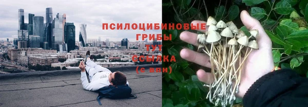 дурь Бронницы