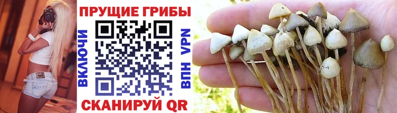 Галлюциногенные грибы Magic Shrooms Усть-Джегута